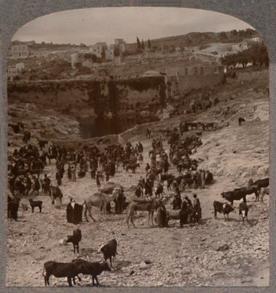 Dzień targowy przy sadzawce Gichon, ok. 1900 autorstwa Unbekannt