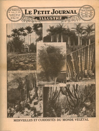Cuda i ciekawostki świata roślin, 1931. autorstwa Unbekannt