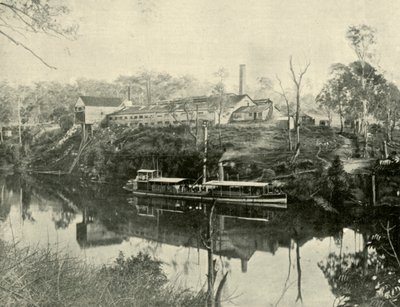 Zakłady mięsne, niedaleko Grafton, Nowa Południowa Walia, 1901. autorstwa Unbekannt