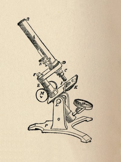 Mikroskop, 1912 autorstwa Unbekannt