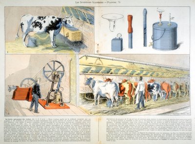 Dojarnia wyposażona w dojarkę ssąco-pulsacyjną Thistle, 1899 autorstwa Unbekannt
