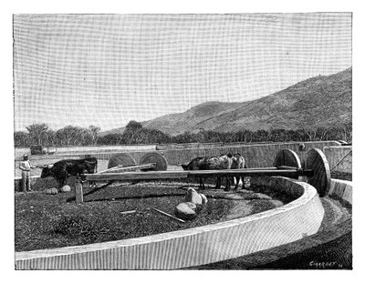 Młynek do łuskania kawy, Ameryka Środkowa, c1890 autorstwa Unbekannt