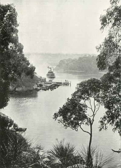 Zatoka Mosmans, z molo Cremorne, ok. 1900. autorstwa Unbekannt