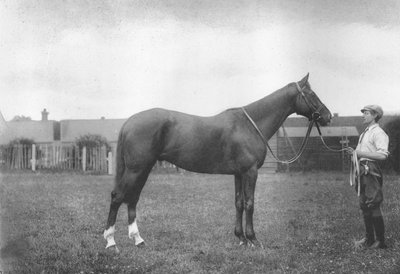 Mount Prospects Fortune, 1911 autorstwa Unbekannt