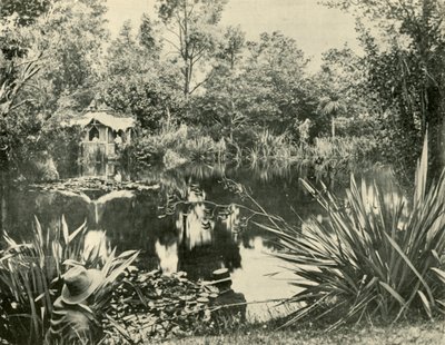 Pan Ryans Gardens, Mount Macedon, Victoria, 1901. autorstwa Unbekannt