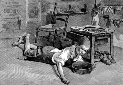 Narcyz, 1882 autorstwa Unbekannt