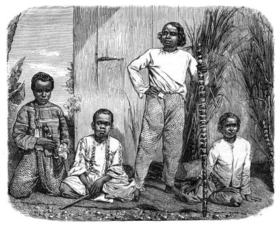Tubylcy z wyspy Reunion, c1890 autorstwa Unbekannt