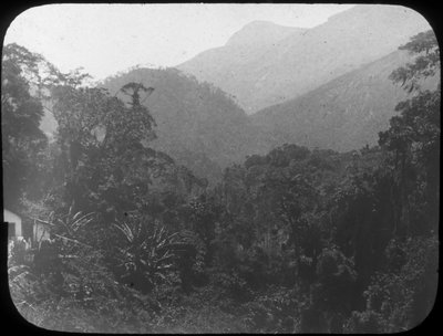 W pobliżu Petrópolis, Rio de Janeiro, Brazylia, koniec XIX lub początek XX wieku autorstwa Unbekannt