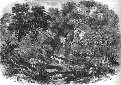Krajobraz Nowej Zelandii, ok. 1880 autorstwa Unbekannt