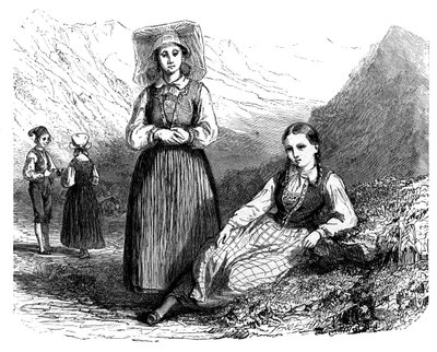 Norwegowie z Lovardalsskardu, c1890 autorstwa Unbekannt