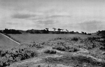 Offas Dyke przekraczający szczyt wzgórza, w Denbighshire, Walia, 1935 autorstwa Unbekannt