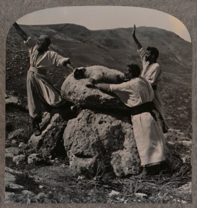 Składanie ofiary z baranka na ołtarzu, Moreh, ok. 1900 autorstwa Unbekannt