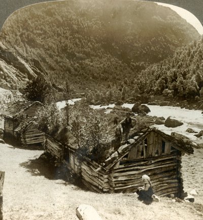 Stare domy z bali w Bratslandsdal, z drzewami rosnącymi na dachach pokrytych darnią, Norwegia, ok. 1905. autorstwa Unbekannt