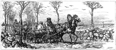 Na drodze w pobliżu Petersburga, Rosja, 1882 r. autorstwa Unbekannt