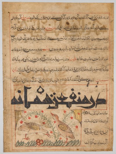 O dobrodziejstwach przepiórek verso z Manafi al-Hayawan..., c. 1300. autorstwa Unbekannt