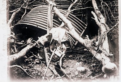 Na Chemin des Dames, północna Francja, c1914-c1918 autorstwa Unbekannt
