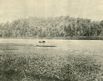 Nad jeziorem Enoggera, 1901. autorstwa Unbekannt