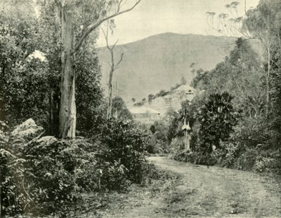 Na drodze Illawarra, NSW, 1901. autorstwa Unbekannt