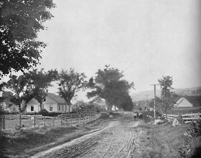 Na drodze do jeziora Echo, Białe Góry, New Hampshire, c1897. autorstwa Unbekannt