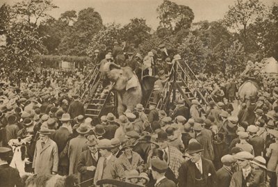 Jeden ze znaków naszej cywilizacji: dobrze zaopatrzone ogrody zoologiczne, które zachwycają ciekawskich, c193 autorstwa Unbekannt