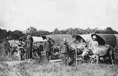 Wozy wołowe, Cochin Chiny, Wietnam, XX w. autorstwa Unbekannt