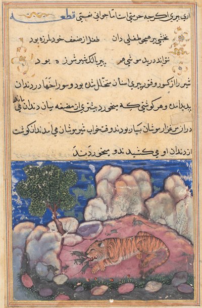 Strona z Tales of a Parrot Tuti-nama: Piętnasta noc: Lew niepokojony przez myszy..., 1558-1560. autorstwa Unbekannt