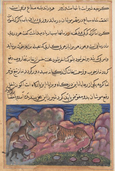 Strona z Tales of a Parrot Tuti-nama: Piętnasta noc: Wilk doradza lwu..., 1558-1560. autorstwa Unbekannt