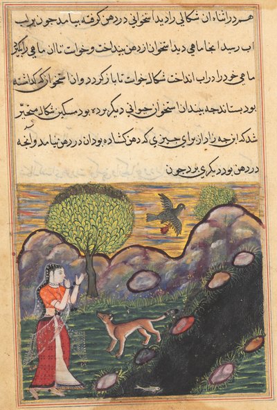 Strona z Opowieści papugi Tuti-nama: Szesnasta noc: Synowa..., c. 1560. autorstwa Unbekannt