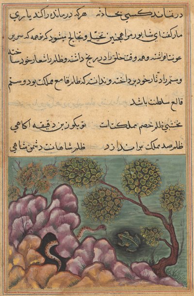 Strona z Opowieści papugi Tuti-nama: Dwudziesta szósta noc: Zdetronizowana żaba..., c. 1560. autorstwa Unbekannt