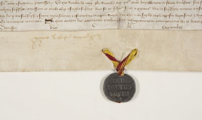 Bulla Papieska potwierdzająca przywilej biskupa Henryka Wardlawa, recto autorstwa Unbekannt