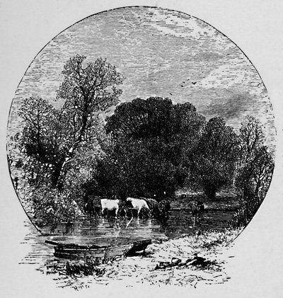 Pokój i obfitość, 1883 autorstwa Unbekannt
