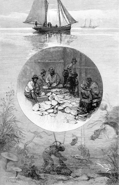 Połowy pereł, Cieśnina Torresa, Australia, 1886 r. autorstwa Unbekannt