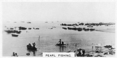 Połów pereł, Australia, 1928 autorstwa Unbekannt