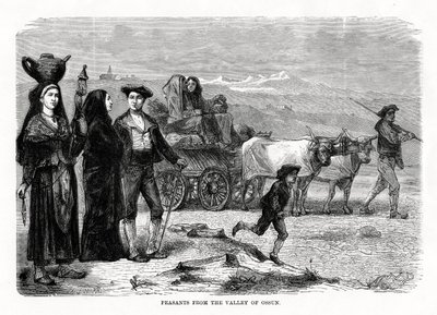 Chłopi z doliny Ossun, Francja, 1879 autorstwa Unbekannt