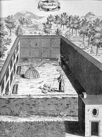 Bażantarnia, 1775 autorstwa Unbekannt