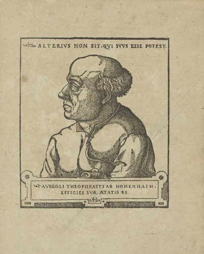 Philippus Theophrastus Aureolus Bombastus von Hohenheim Paracelsus, ok. 1538. autorstwa Unbekannt