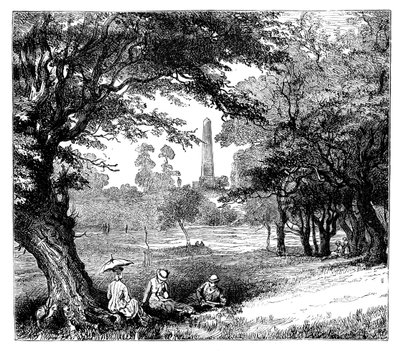 Phoenix Park, Dublin, ok. 1888 r. autorstwa Unbekannt