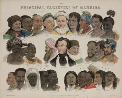 Fizjonomia „Główne odmiany ludzkości”, 3 maja 1850 r autorstwa Unbekannt