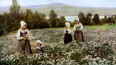 Zbieranie kwiatów na łące niedaleko Leksand, Szwecja, ok. 1923 r. autorstwa Unbekannt