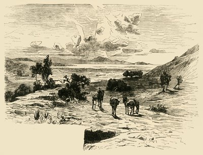 Równina Maratonu, 1890. autorstwa Unbekannt