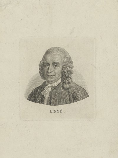 Portret Karola Linneusza 1707-1778, c. 1780. autorstwa Unbekannt