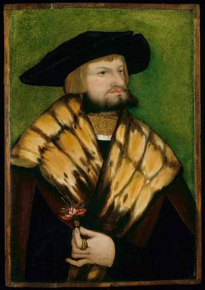 Portret Leonharda Fuchsa, 1525. autorstwa Unbekannt