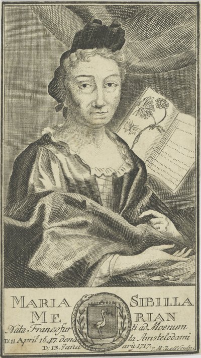 Portret Marii Sibylli Merian 1647-1717, 1755. autorstwa Unbekannt