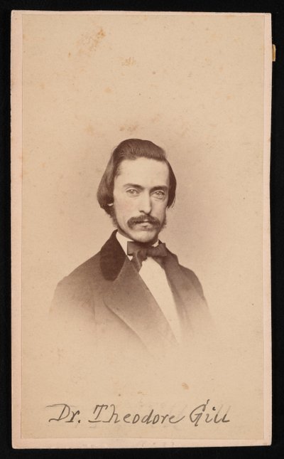 Portret Teodora Nicholasa Gilla 1837-1914, około lat 60. XIX wieku. autorstwa Unbekannt