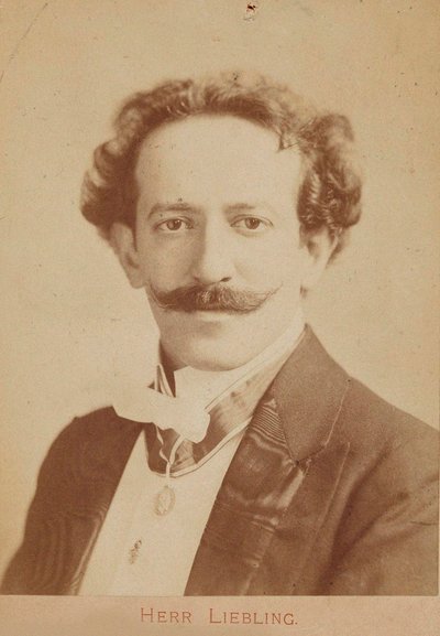 Portret pianisty i kompozytora Georga Lieblinga 1865-1946, ca. 1900 autorstwa Unbekannt