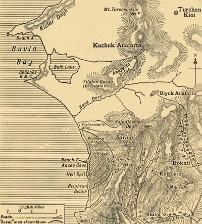 Pozycje sił ANZAC na półwyspie Gallipoli w Turcji, I wojna światowa, lipiec 1915, c1920. autorstwa Unbekannt