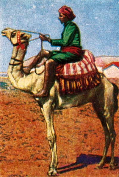 Poczta dostarczona przez wielbłąda, Arabia, c1928. autorstwa Unbekannt