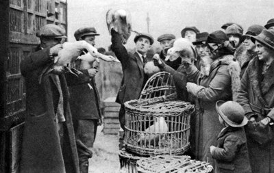 Kupcy drobiu, Caledonian Market, Londyn, 1926-1927 autorstwa Unbekannt
