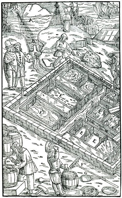 Produkcja soli przez odparowanie wody morskiej w panwiach solnych, 1556 autorstwa Unbekannt