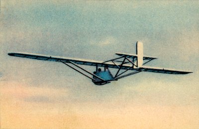 Uczeń w zakamuflowanym szkolnym szybowcu Zögling, 1932. autorstwa Unbekannt
